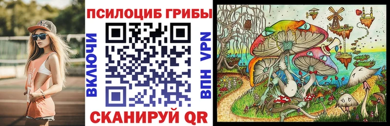 закладки  Нестеровская  Галлюциногенные грибы Psilocybine cubensis 