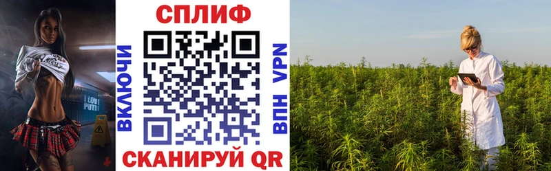 Каннабис MAZAR  Нестеровская 